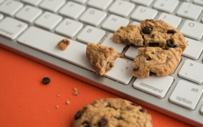 What Are Cookies on Websites? Should You Accept Them?